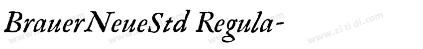 BrauerNeueStd Regula字体转换